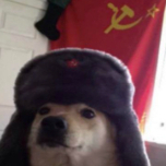 ThatSovietShiba